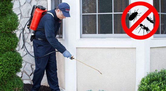 Kadıköy Tahtakurusu İlaçlama böcek ilaçlama ve haşere kontrolü — ilaclama-tr.com
